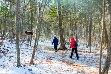 лес Мария Смитюк, ИА PrimaMedia.ru