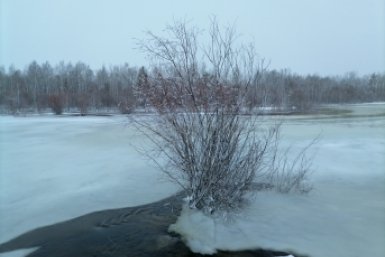 Полынья Абрамченко Анета, ИА ChitaMedia