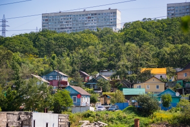 Новость дня