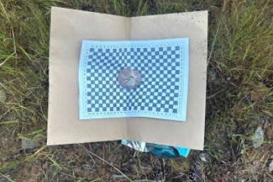 Золото Амурская бассейновая прокуратура