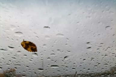 весна Анета  Абрамченко, ИА ChitaMedia