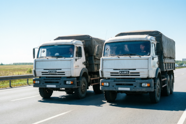 Фуры ИИ Qwen (18+)