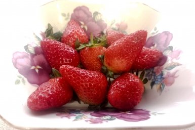 Кормлю клубнику в апреле-мае раствором для горла: ягоды размером с яйцо — супер-удобрение из детской аптечки