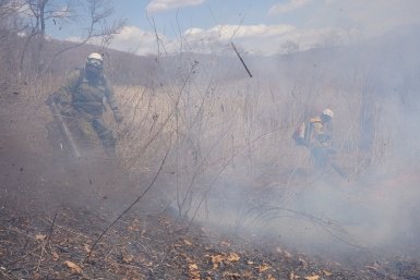 Девять пожаров на 543 га ликвидированы в Приморье за минувшие выходные Платон Волков (КГБУ &quotПриморская авиабаза&quot)