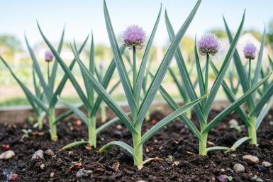 Тематическое фото Создано при помощи ИИ