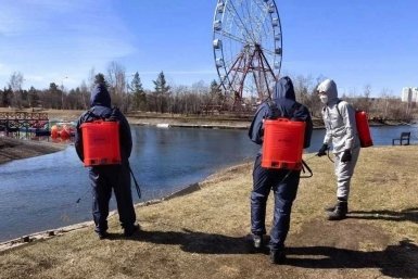 Обработка территории администрация Иркутска