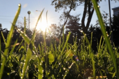 Солнечная погода Юрий Гуршал, ИА SakhalinMediа