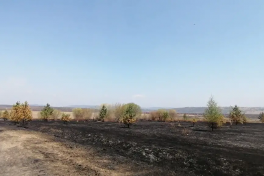 Пожар Канал МАХ (6+) Россельхознадзор по Забайкалью