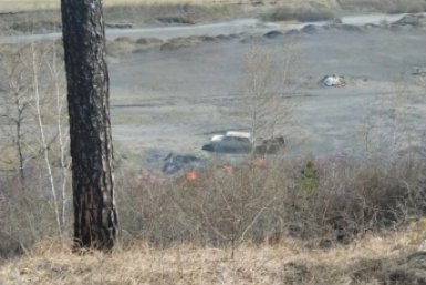 Двоих читинцев поймали за обжигом кабеля возле леса Минлес Забайкалья