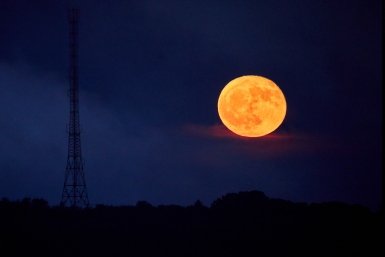 Учёные нашли планету с магмовым океаном в созвездии Летучей Рыбы