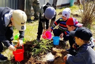 Дошкольники высадили деревья в рамках акции &quotСад памяти&quot в Новокручининском Правительство Забайкалья