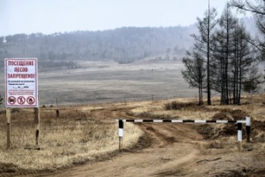 запрет на посещение леса Анета  Абрамченко, ИА ChitaMedia