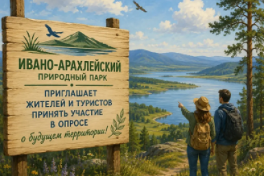 Новость дня