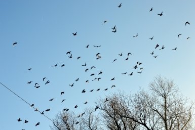 Природа Евгений Овдеенко, ИА OmskMedia