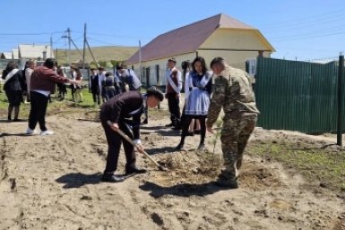 Выпускники высадили 26 сосен у новой школы №5 в Агинском правительство Забайкалья
