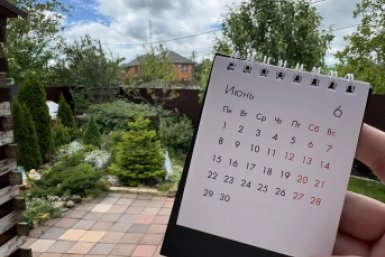 Дачники, запишите, какие культуры еще можно посеять в июне 2026 года