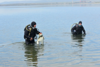 Более 10 мешков мусора собрали водолазы со дна озера Кенон в Чите