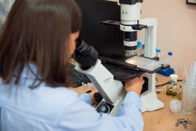 Тематическое фото ИА PrimaMedia