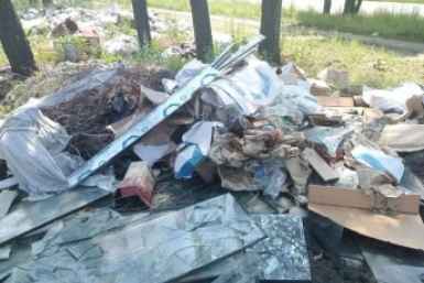 Забайкальца наказали за свалку в Атамановке и обязали компенсировать вред Миприроды Забайкалья