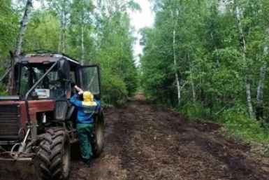 Противопожарные полосы для защиты лесов обновляют в Забайкалье н правительство Забайкалья