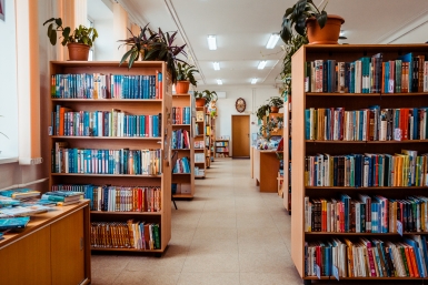 В Иркутске детский писатель Ирина Барбанель представит книгу &quotСтражи Байкала&quot Мария Смитюк, ИА PrimaMedia