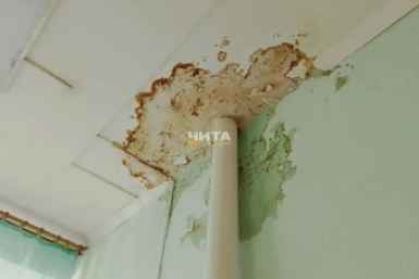 На детей сыплется штукатурка и капает вода в детсаду №81 в Чите Чита Сегодня
