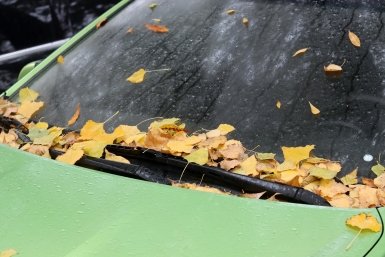 Дождь и температура до +20 градусов ожидается в Чите 25 августа Сергей Бумагин, ИА Stavropol.Media