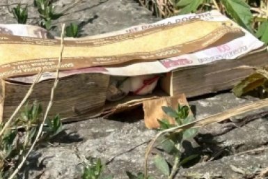 Подозрительный предмет в пачке банкнот на Ставрополье оказался не взрывным устройством соцсети Владимира Владимирова