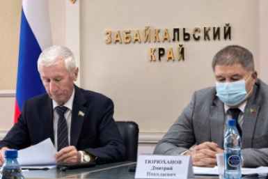 Заседание комитета по госполитике Заксобрания Абрамченко Анеты, ИА ChitaMedia
