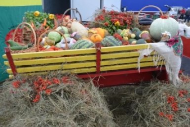 Ярмарка "Золотая осень Забайкалья" пройдет 26 сентября в Чите