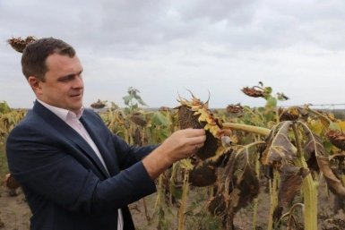 Олег Безменов назначен министром сельского хозяйства Ставрополья Соцсети Безменова