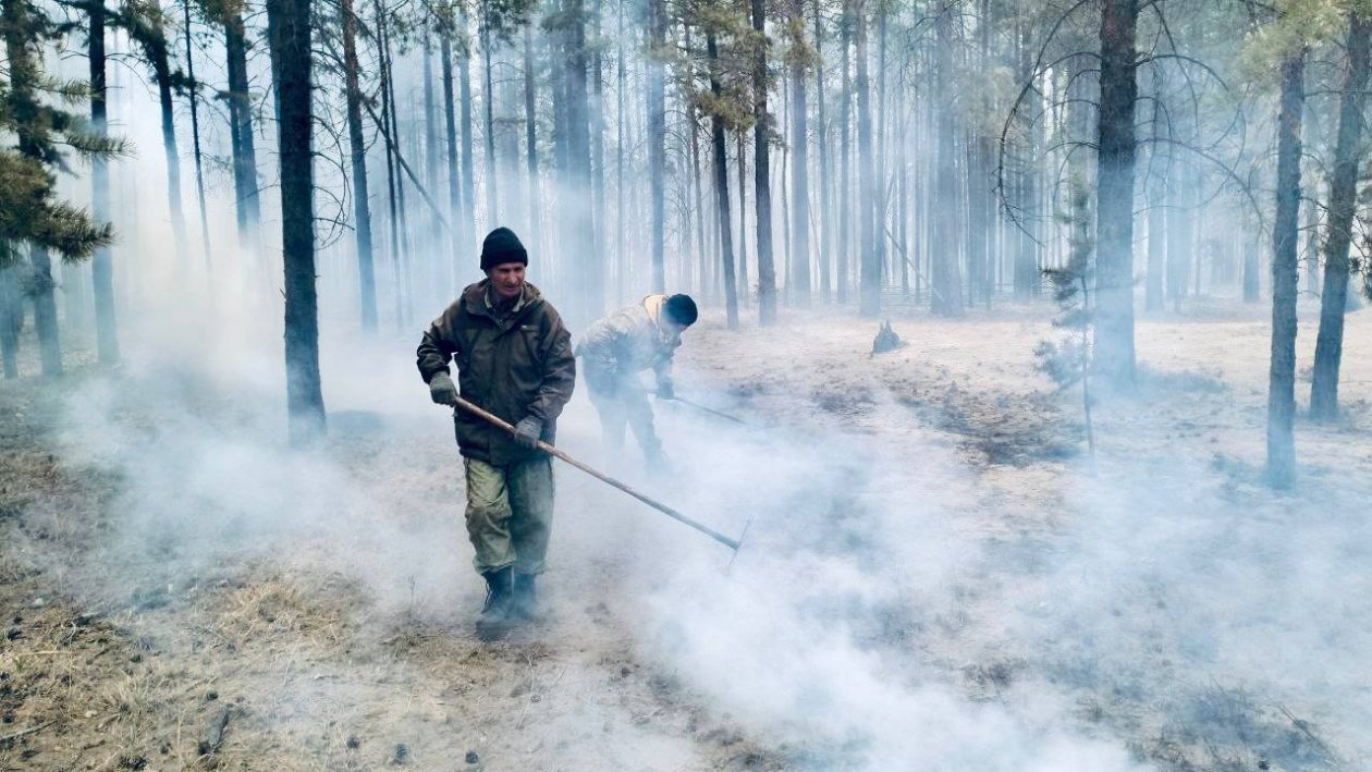 Лесной пожар РАЛХ