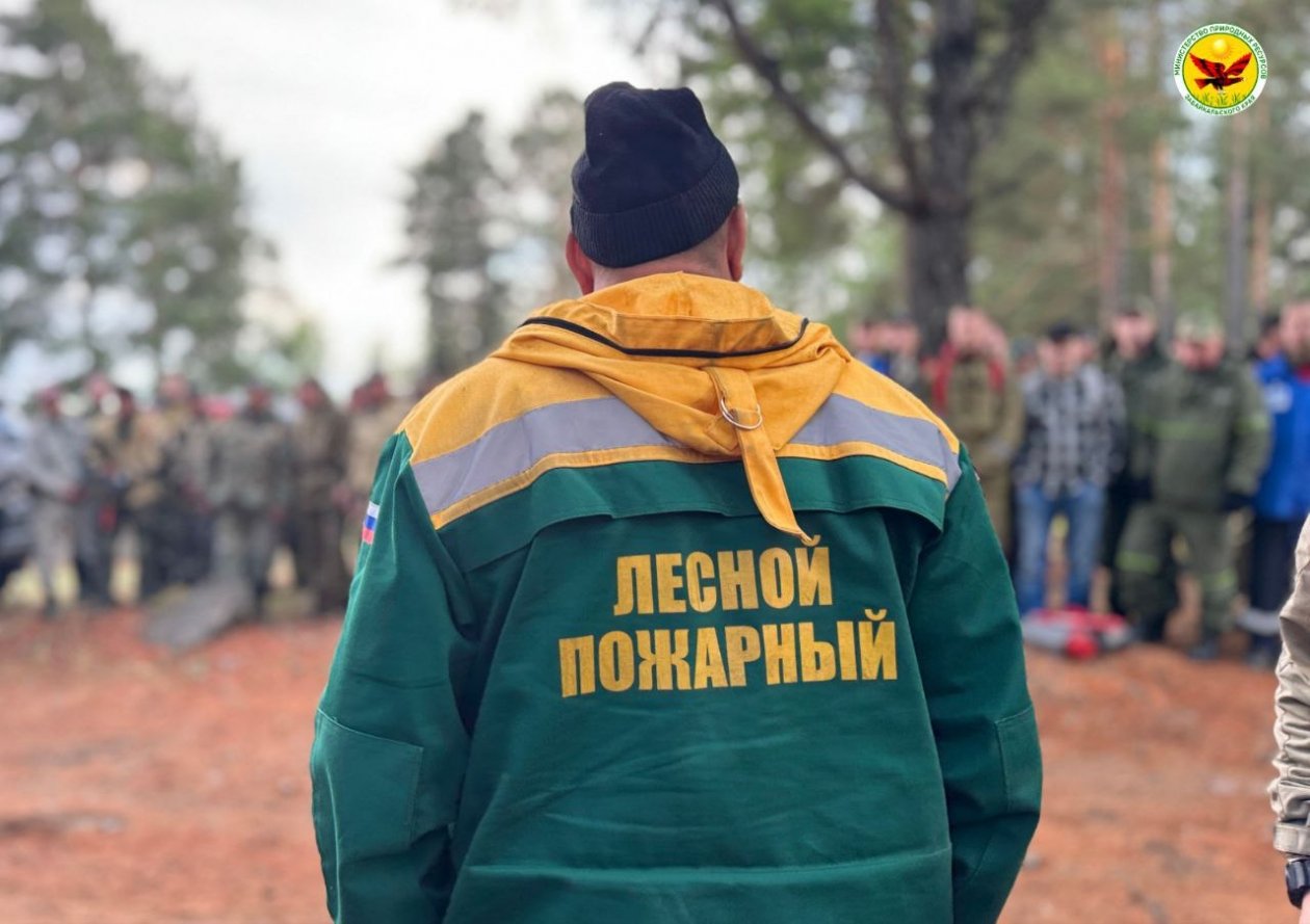 Лесной пожарный тг-канал Минприроды Забайкальского края