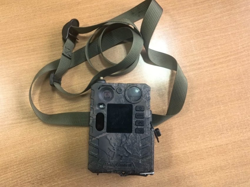 фотоловушка пресс-службы Минприроды Забайкальского края