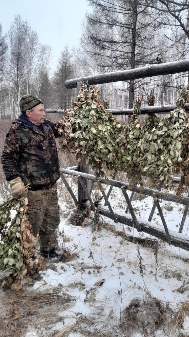 Веники тг-канал (18+) Минприроды Забайкалья