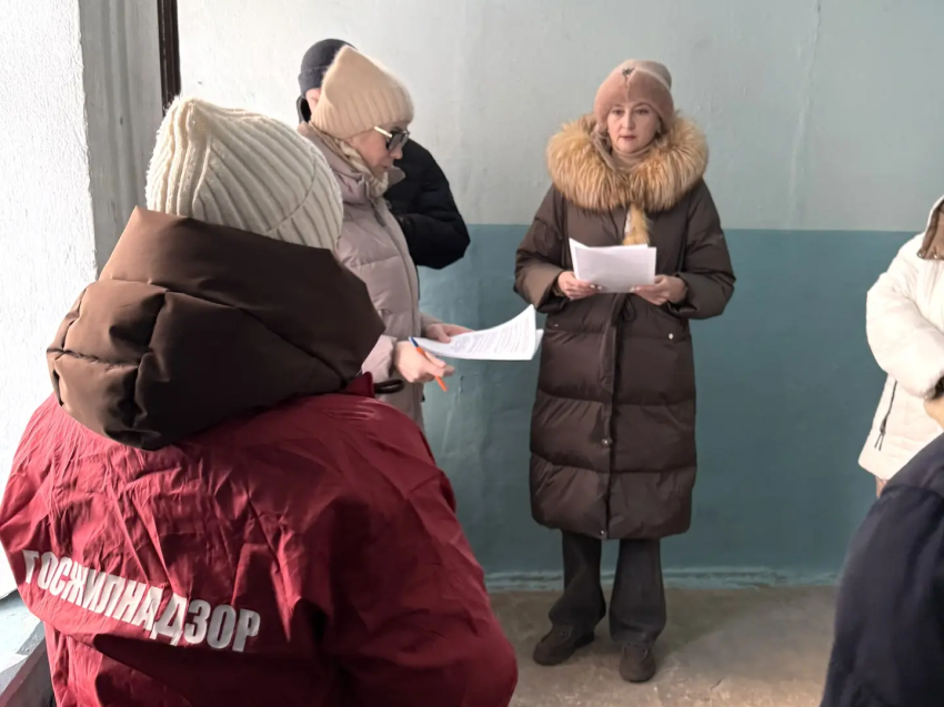 Проведение проверок Анастасии Чистяковой