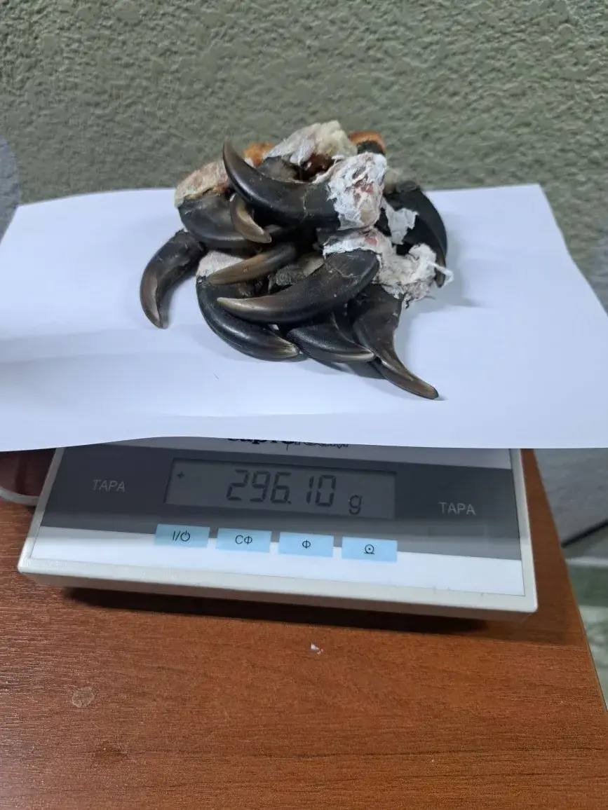 сайт Дальневосточного таможенного управления