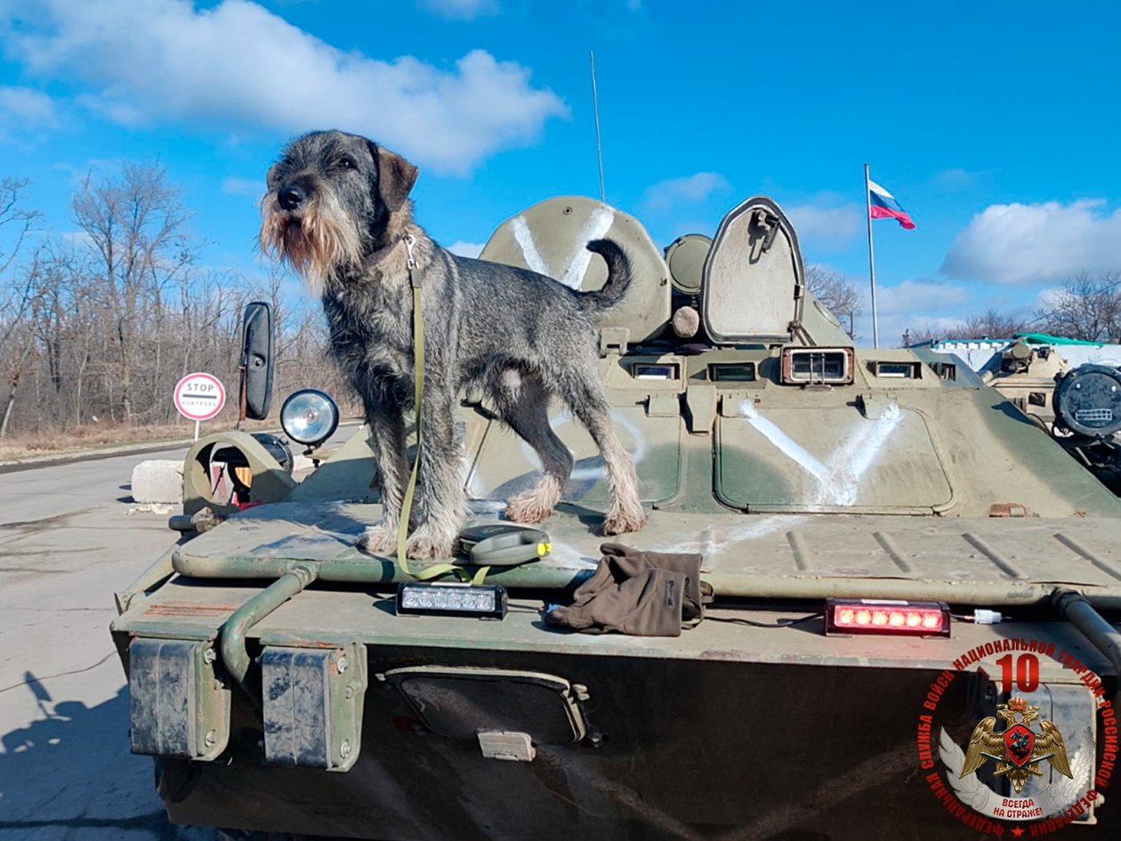 Росгвардия