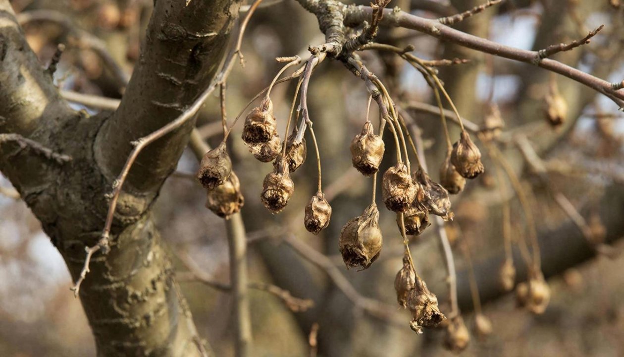 Тематическое изображение Сгенерировано с помощью ИИ