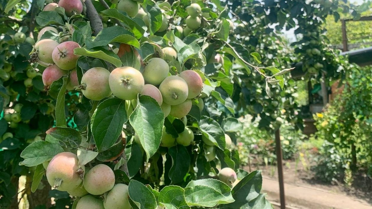 Тематическое фото ИА ChitaMedia