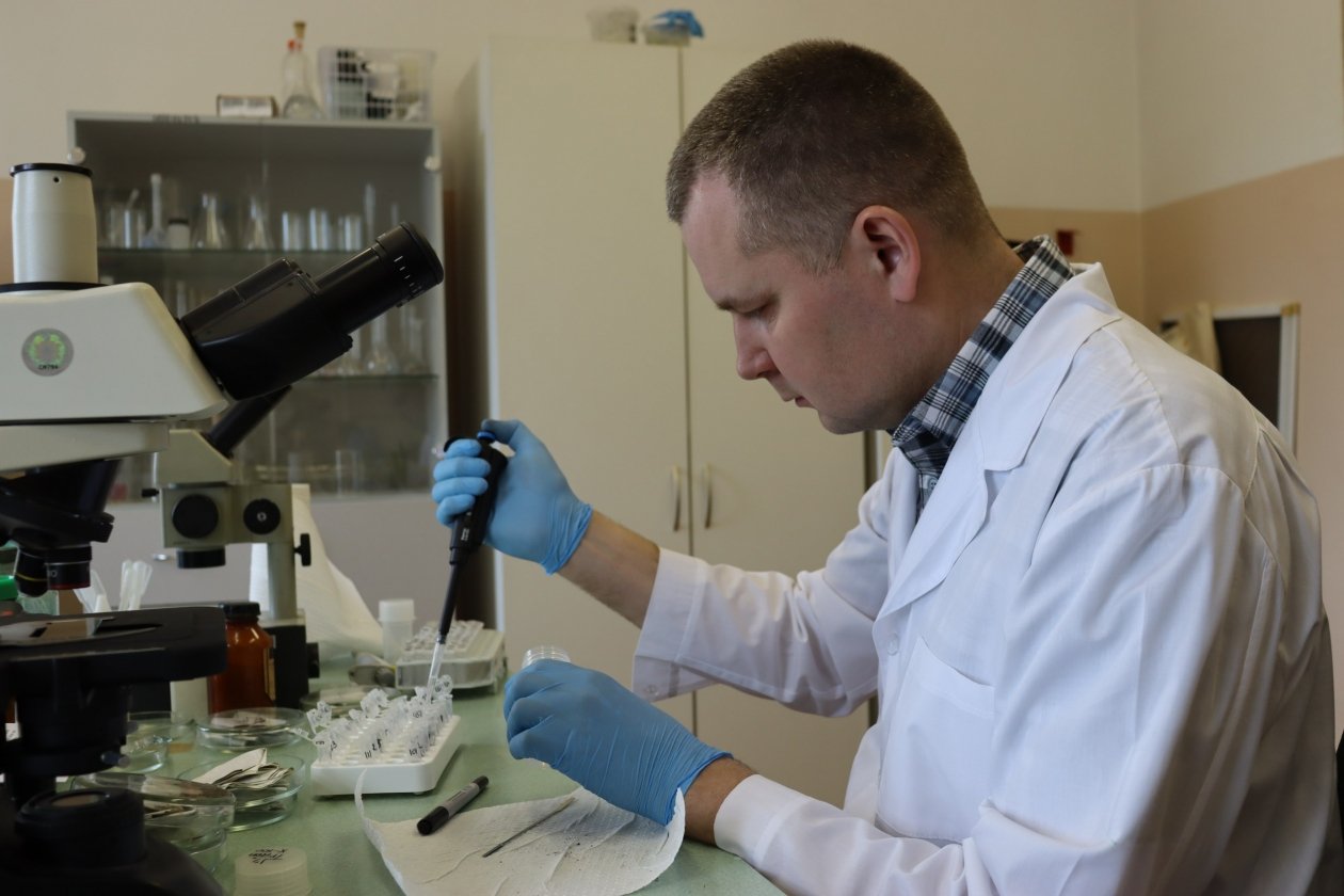 Исследование пресс-службы ЧГМА