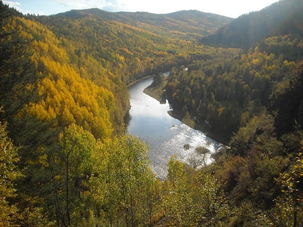 Тематическое фото ПАО &quotМТС&quot
