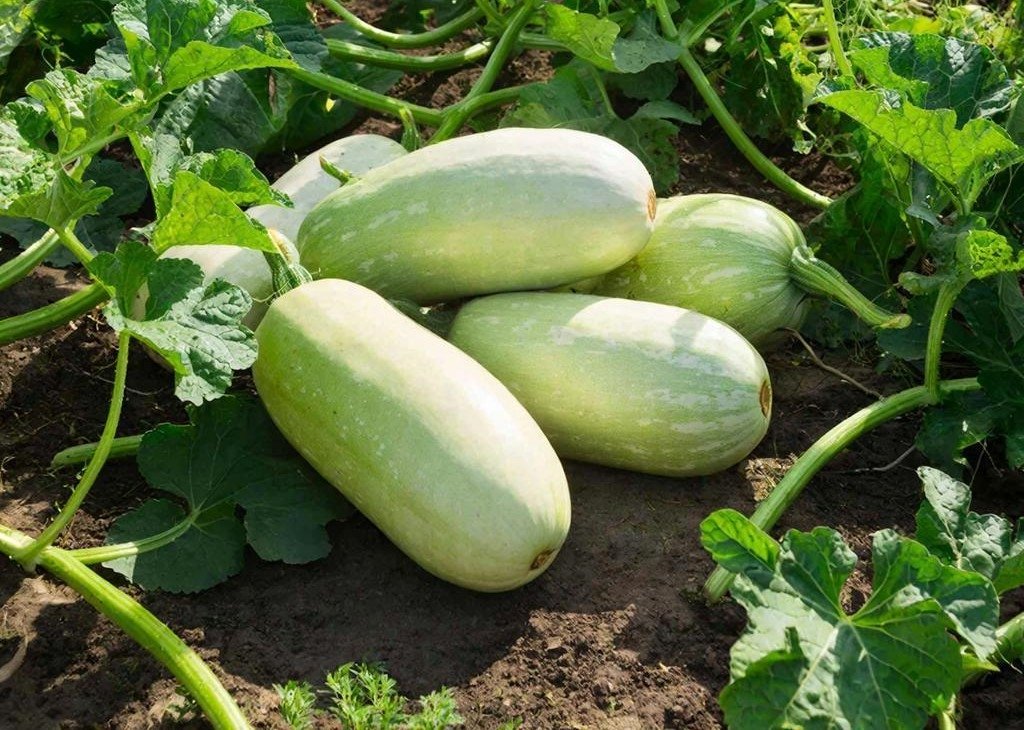 Тематическое фото Создано при помощи ИИ