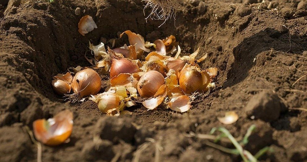 Тематическое фото Создано при помощи ИИ