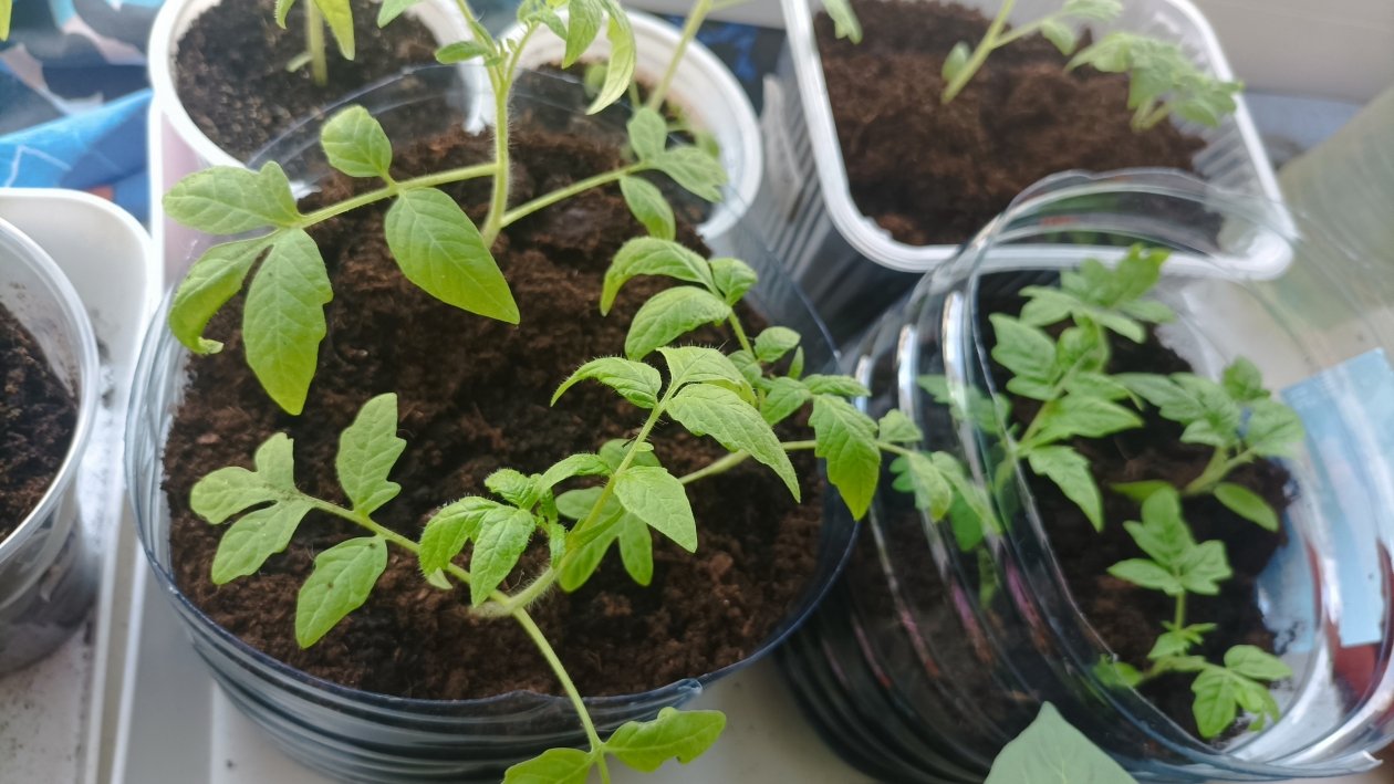 Тематическое фото Фото автора