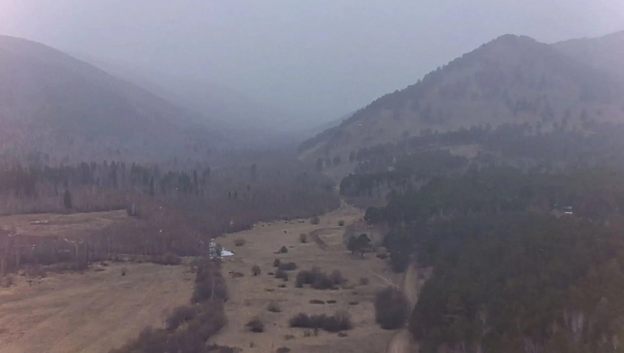 Лес канал в МАХ (6+) Минлеса Забайкалья