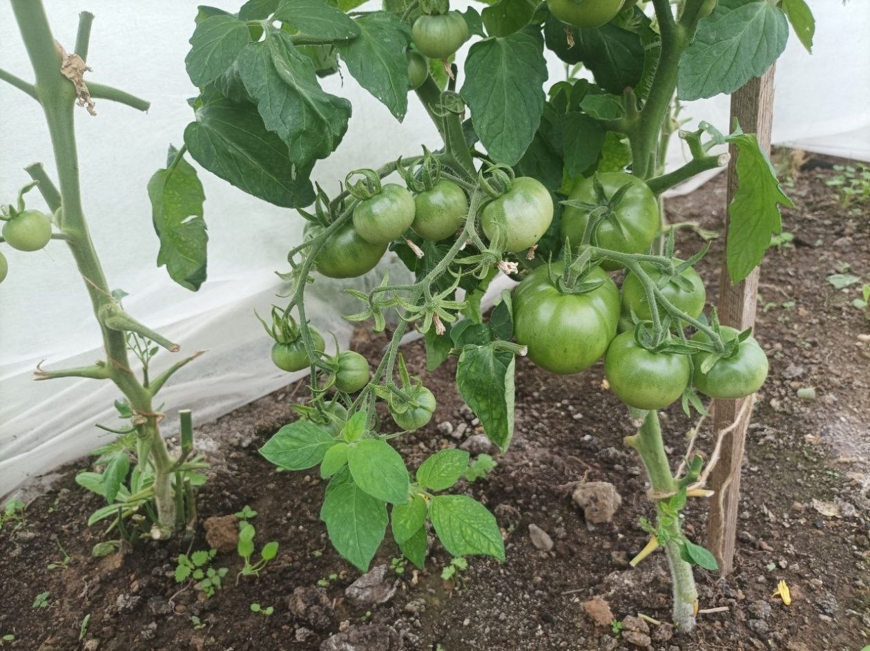 Тематическое фото Фото автора