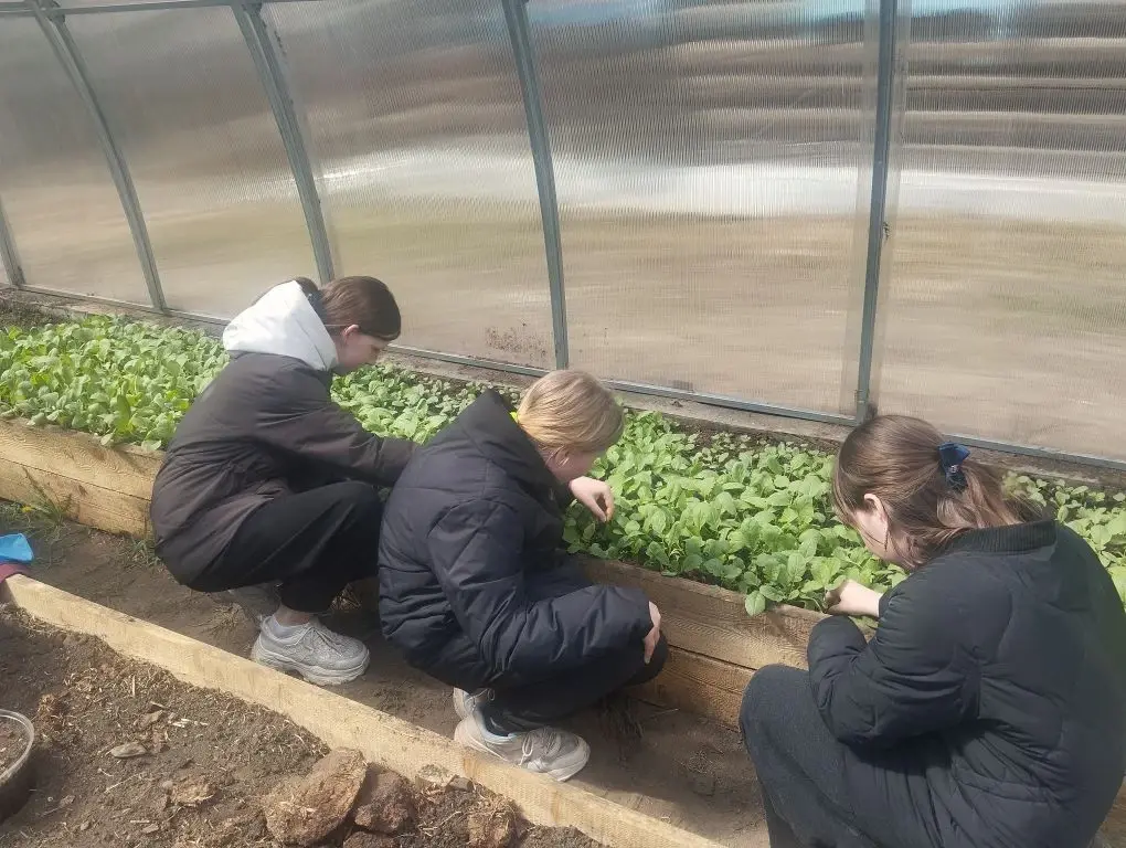 Воспитанники Канал МАХ (6+) Забайкальского края