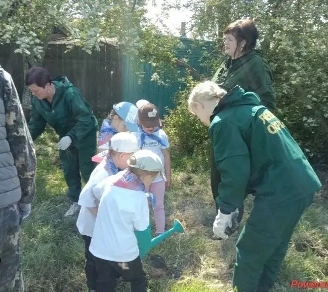 Детсадовцы вместе с лесниками высадили 40 саженцев сосны в Балейском округе Минлес Забайкалья