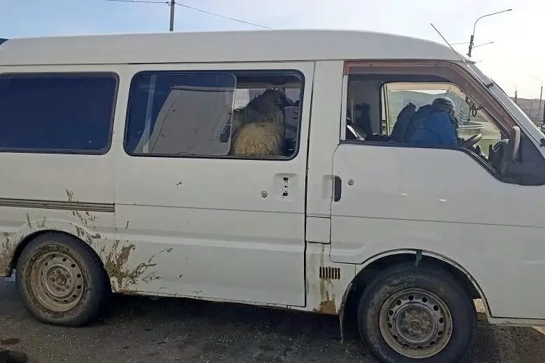 Скот Канал МАХ (12+) Россельхознадзор по Забайкалью